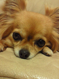 200908131808000.jpg