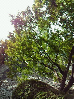 200909241533000.jpg
