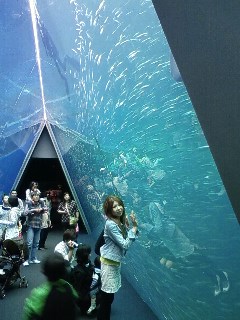 090506_1420~02.jpg