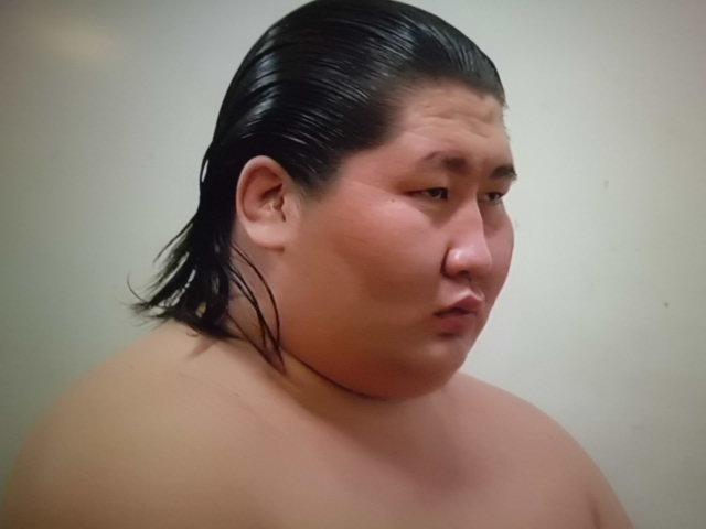「相撲逸ノ城無料写真」の画像検索結果
