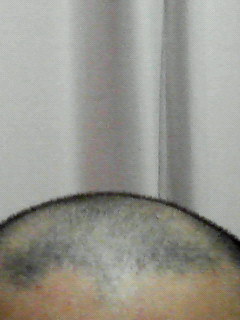 200802110056000.jpg