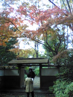 Image267.jpg