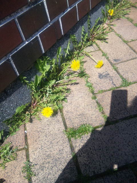 120404_103624.jpg