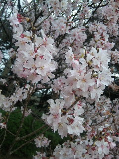 120403_132652.jpg