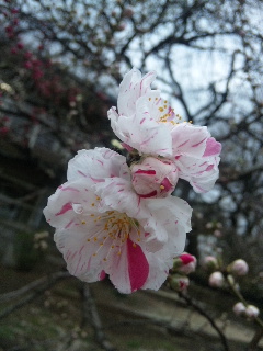 120403_134745.jpg