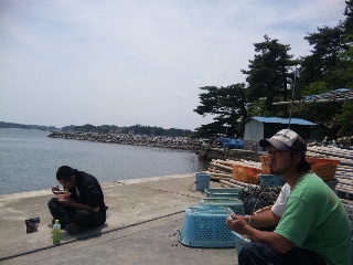 120526_120431.jpg
