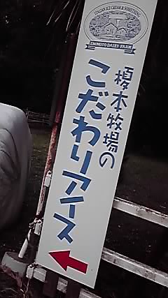P1000412.JPG