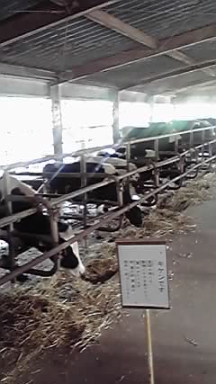 P1000407.JPG