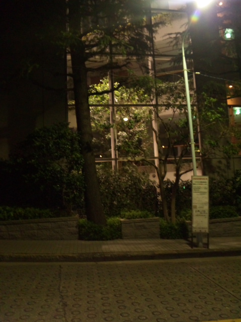 120904_184611.jpg