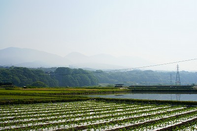 右から2つめのでっぱりが浅間山