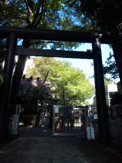 111016_115908.jpg