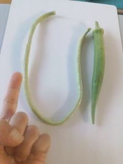 20110824180054.jpg