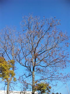 111126_110652.jpg