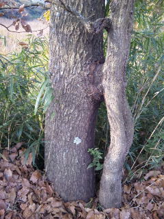 111127_081756.jpg