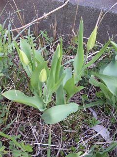 120409_070927.jpg