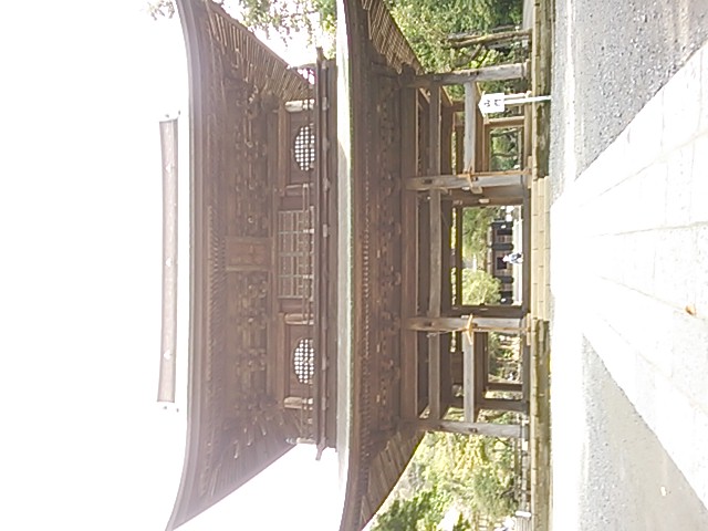 NEC_0065.JPG