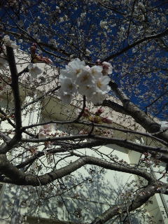 130326_080909.jpg