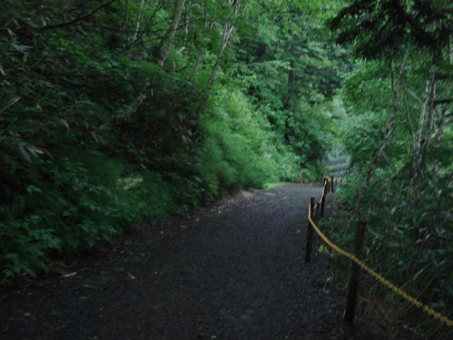 吹き上げに向かう道