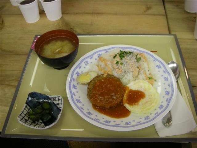 ねこまんま定食