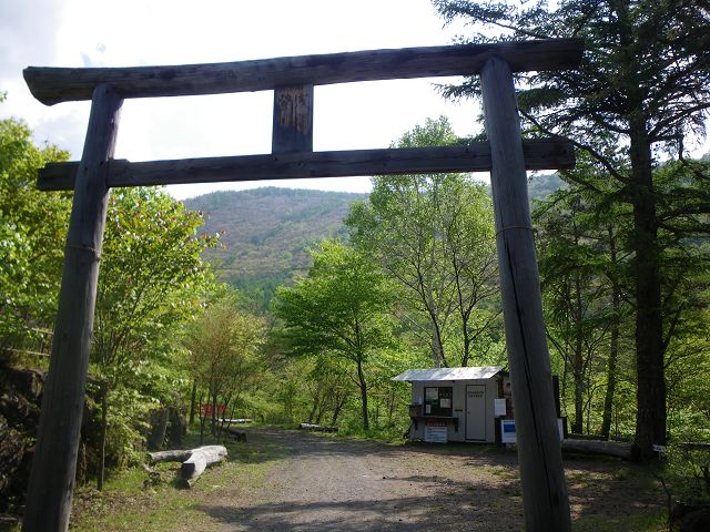 IMGP3151.jpg