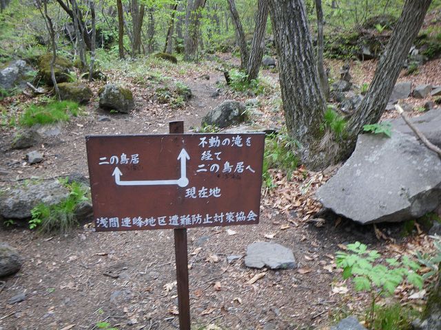 IMGP3158.jpg