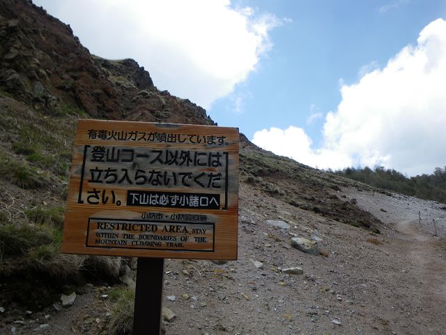 IMGP3183.jpg
