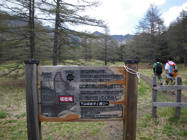IMGP3202.jpg