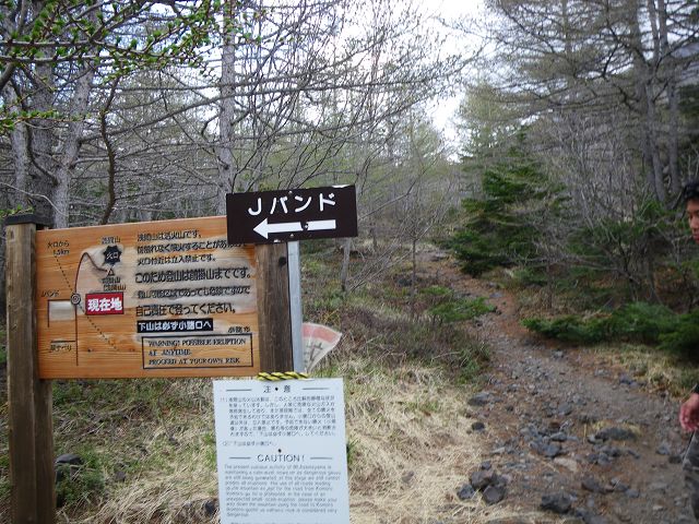 IMGP3208.jpg