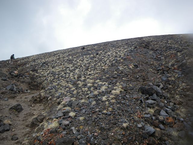 IMGP3219.jpg