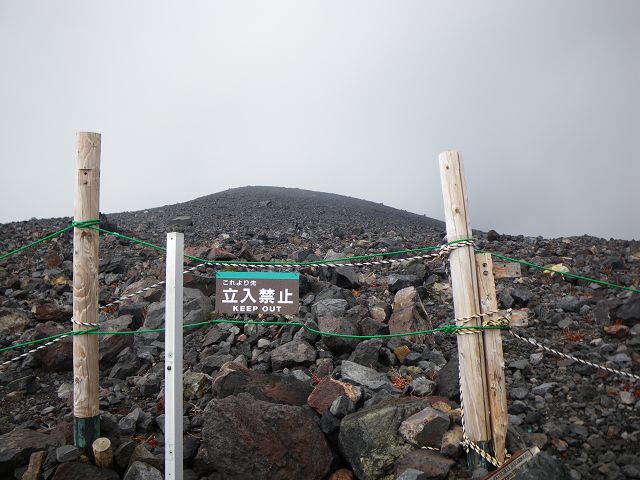 IMGP3246.jpg