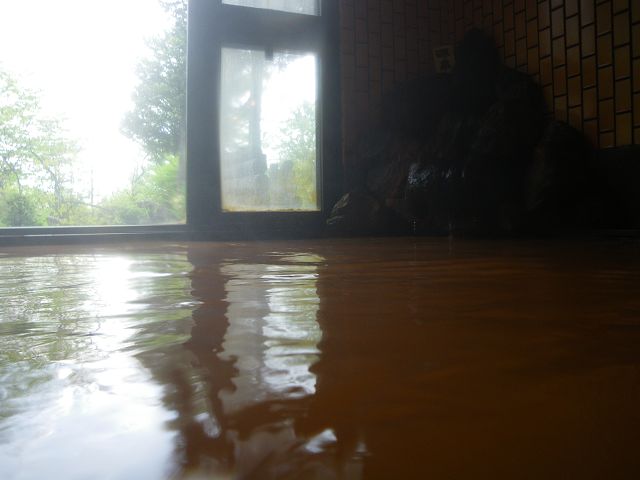 IMGP3251.jpg