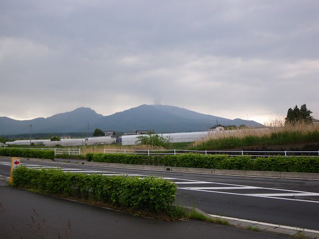 IMGP3256.jpg