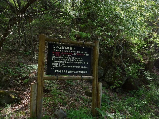 P1020537.jpg