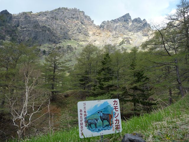 P1020550.jpg