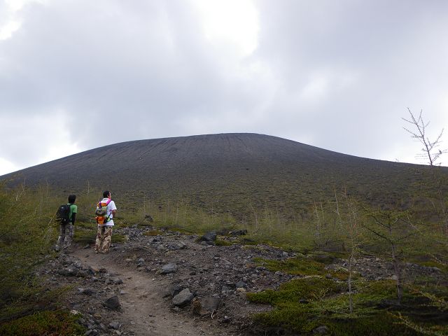 IMGP3212.jpg