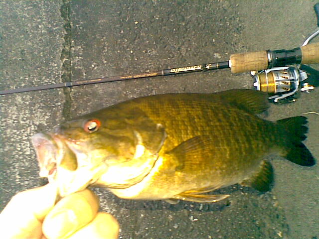 20100608(003).jpg