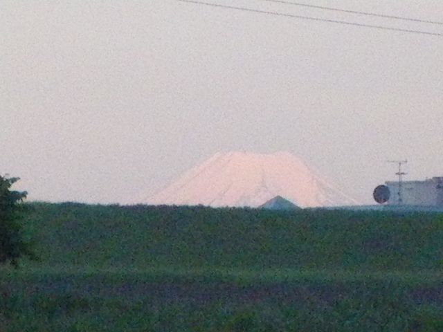 IMGP3292.jpg