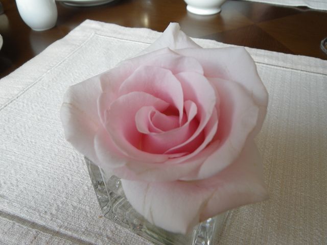 IMGP1326.jpg
