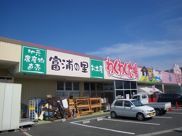 IMGP3313.jpg
