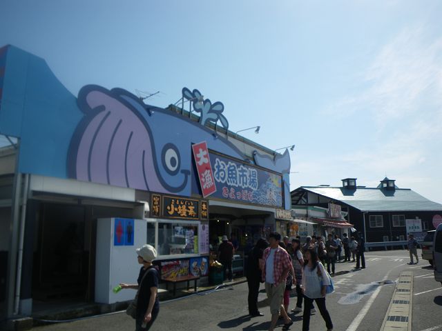 IMGP3318.jpg