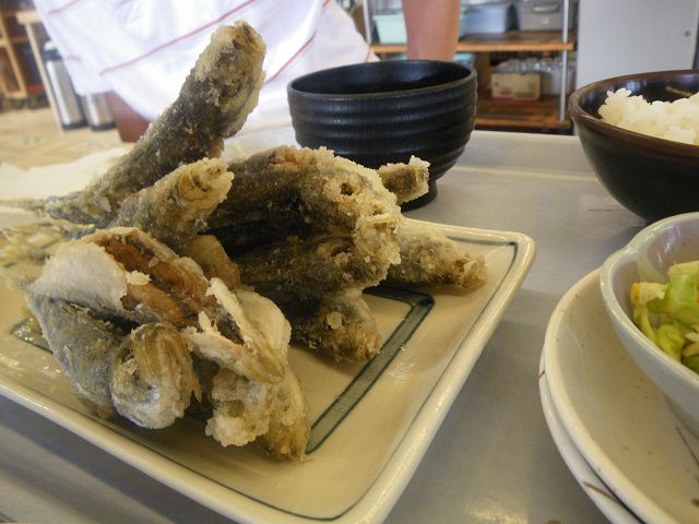 IMGP3336.jpg