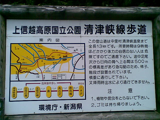 20100717(002).jpg