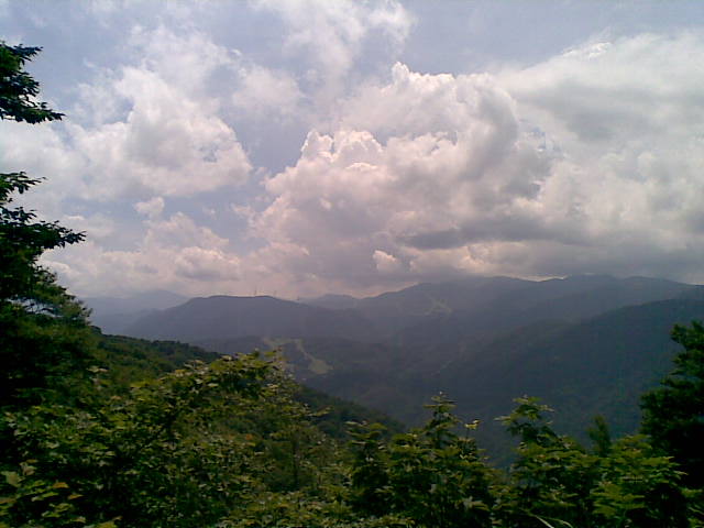 20100717(014).jpg