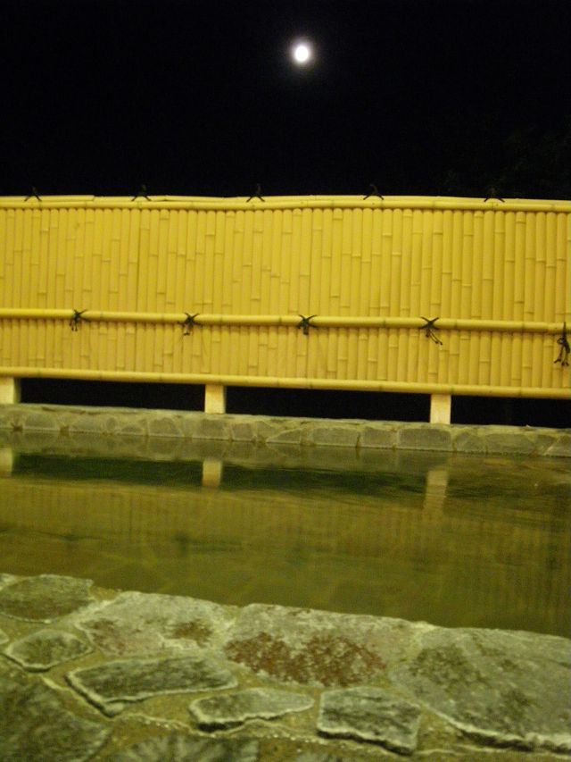 IMGP3411.jpg