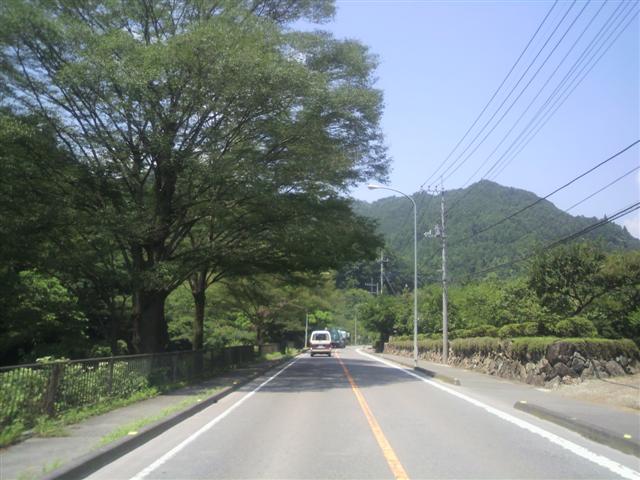 P1000006.JPG