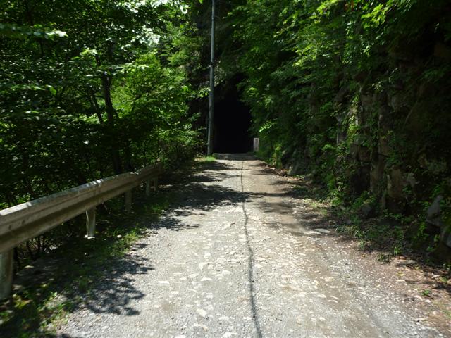 P1010304.JPG