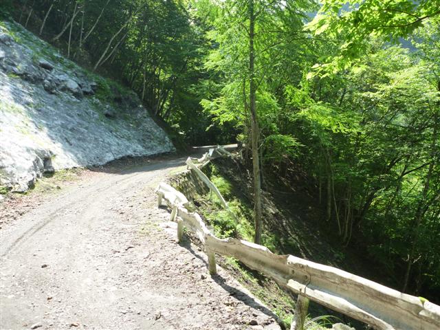 P1010308.JPG