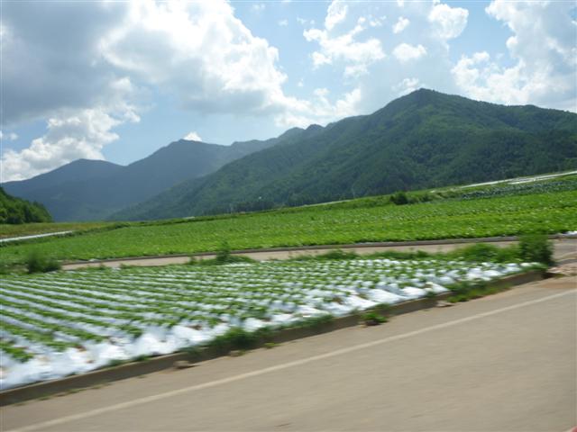 P1010311.JPG