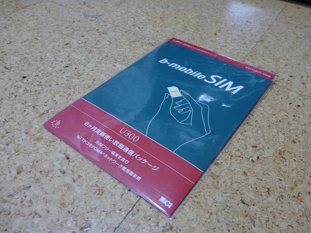 P1010451s.JPG