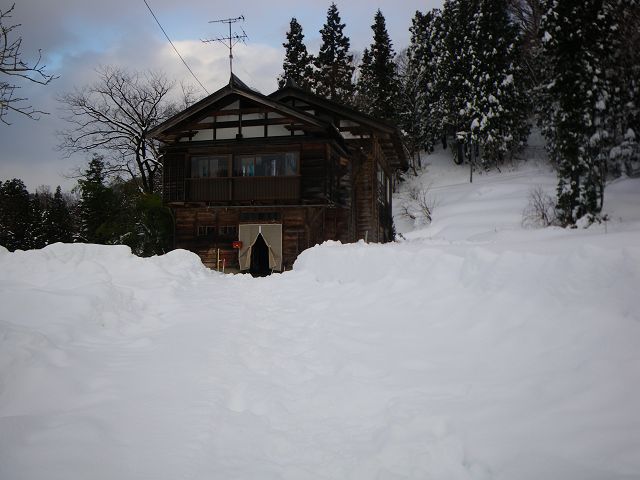 IMGP3931.jpg